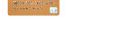Bottom-Card.jpg